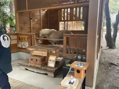 平塚八幡宮(神奈川県)