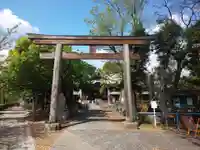 荏原神社の鳥居