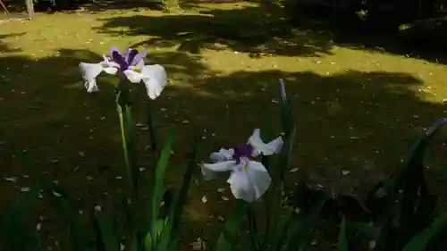 賀茂別雷神社（上賀茂神社）の庭園