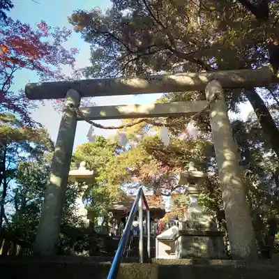 唐澤山神社の鳥居