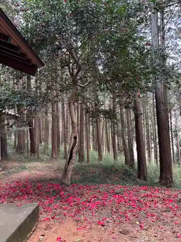 日枝神社(埼玉県)