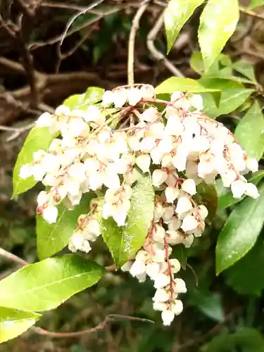 瑞泉寺(神奈川県)