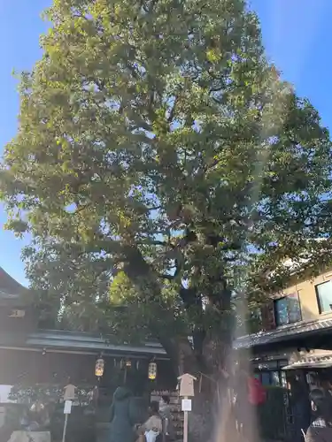 晴明神社(京都府)