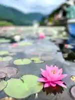 仁科神社(長野県)