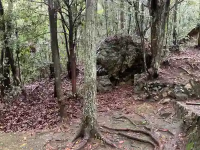 熊野神社の自然