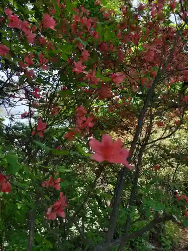 塩船観音寺の庭園