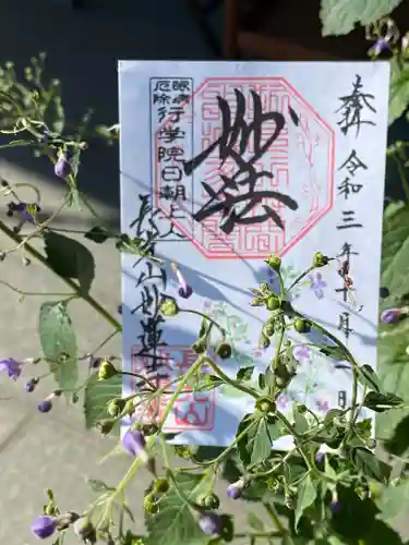 妙蓮寺の御朱印