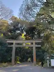 明治神宮の鳥居