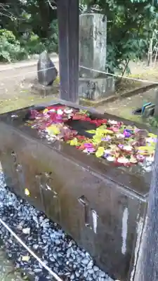 前玉神社の手水舎