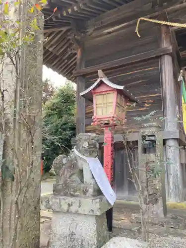 日吉神社の狛犬