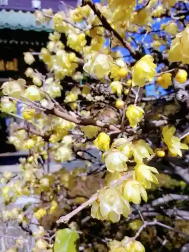 福蔵院(東京都)