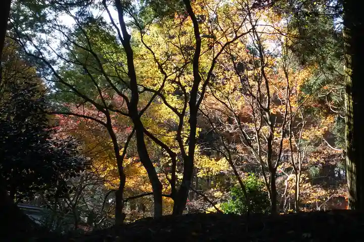 比叡山延暦寺の自然