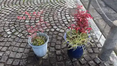 熊野神社衣笠分社の庭園