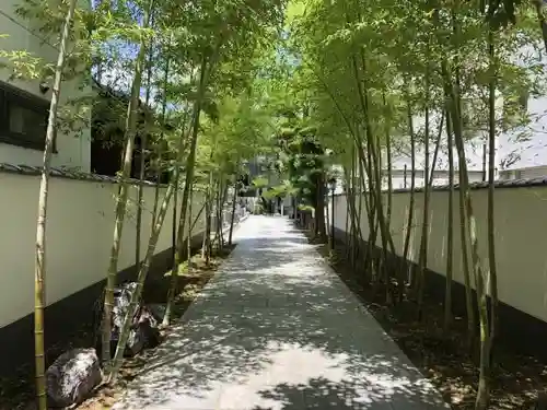 圓應寺の建物その他