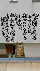 専念寺(大阪府)(2023年05月30日(火) 20時39分35秒投稿)