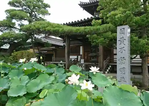 最勝寺の庭園