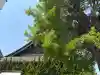 聖安寺の{uncategorized: "未分類", other: "その他", undefined: "問題あり", building: "その他建物", grave: "お墓", sacred_gate: "鳥居", guardian: "狛犬", statue: "像", buddha: "仏像", history: "歴史", nature: "自然", garden: "庭園", animal: "動物", pagoda: "塔", temizu: "手水舎", mountain_gate: "山門・神門", sanctuary: "本殿・本堂", subordinate: "末社・摂社", art: "芸術", scenery: "景色", jizo: "地蔵", ema: "絵馬", goshuin: "御朱印", omikuji: "おみくじ", items: "授与品その他", amulet: "お守り", goshuincho: "御朱印帳", eats: "食事", festival: "お祭り", votive_dance: "神楽", shichigosan: "七五三参", wedding: "結婚式", experience: "体験その他", initially: "初詣", around: "周辺", anti_infection: "感染症対策"}