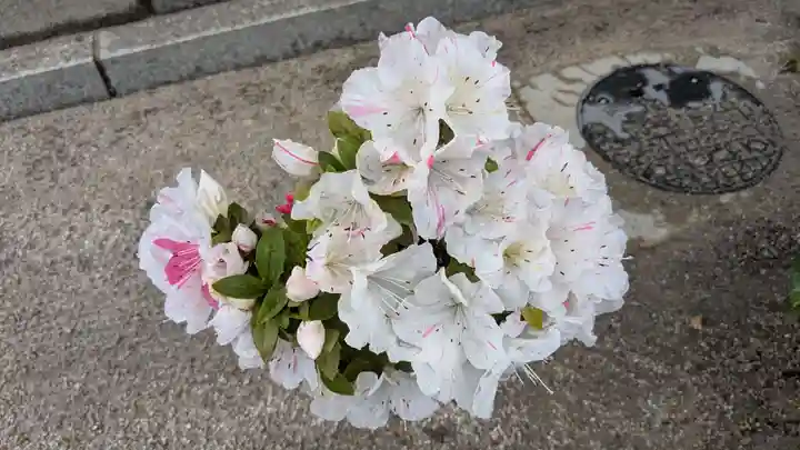 櫛田神社の庭園