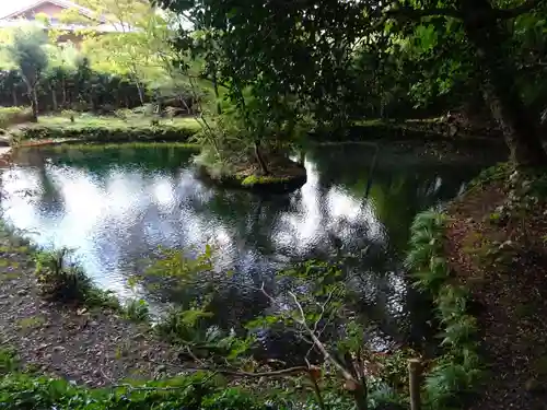 諏訪神社の庭園