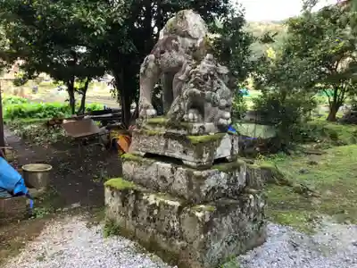 須佐神社の狛犬