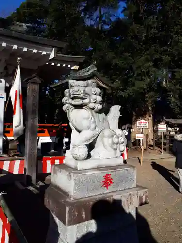 白岡八幡神社の狛犬