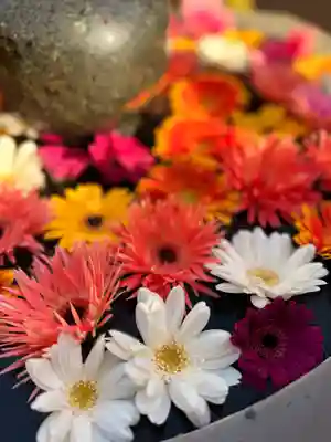 神楽坂安養寺(東京都)