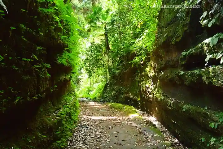 熊野神社(神奈川県)