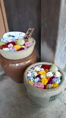 多賀神社の手水舎
