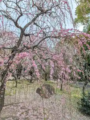城南宮の{uncategorized: "未分類", other: "その他", undefined: "問題あり", building: "その他建物", grave: "お墓", sacred_gate: "鳥居", guardian: "狛犬", statue: "像", buddha: "仏像", history: "歴史", nature: "自然", garden: "庭園", animal: "動物", pagoda: "塔", temizu: "手水舎", mountain_gate: "山門・神門", sanctuary: "本殿・本堂", subordinate: "末社・摂社", art: "芸術", scenery: "景色", jizo: "地蔵", ema: "絵馬", goshuin: "御朱印", omikuji: "おみくじ", items: "授与品その他", amulet: "お守り", goshuincho: "御朱印帳", eats: "食事", festival: "お祭り", votive_dance: "神楽", shichigosan: "七五三参", wedding: "結婚式", experience: "体験その他", initially: "初詣", around: "周辺", anti_infection: "感染症対策"}