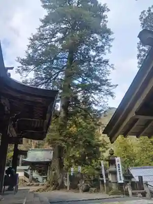 甘南美寺(岐阜県)