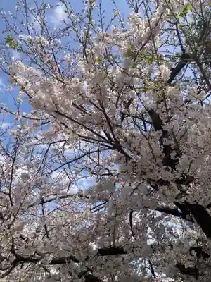 住吉神社(東京都)