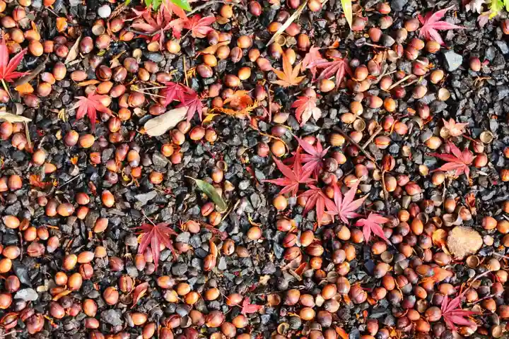 豊景神社(福島県)