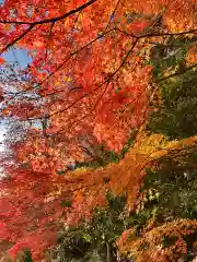 永源寺(滋賀県)