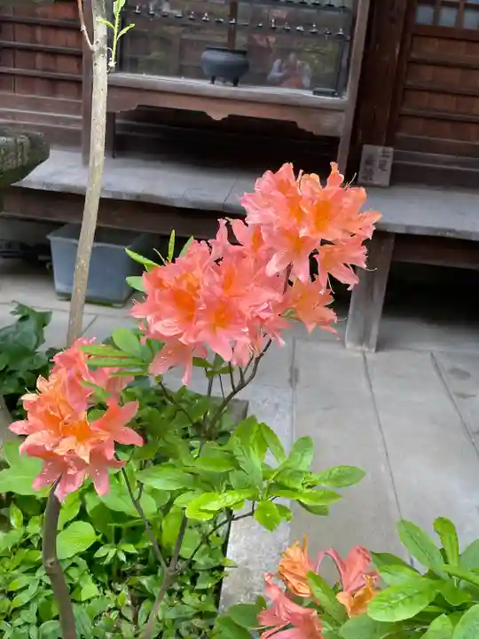 青龍寺(京都府)