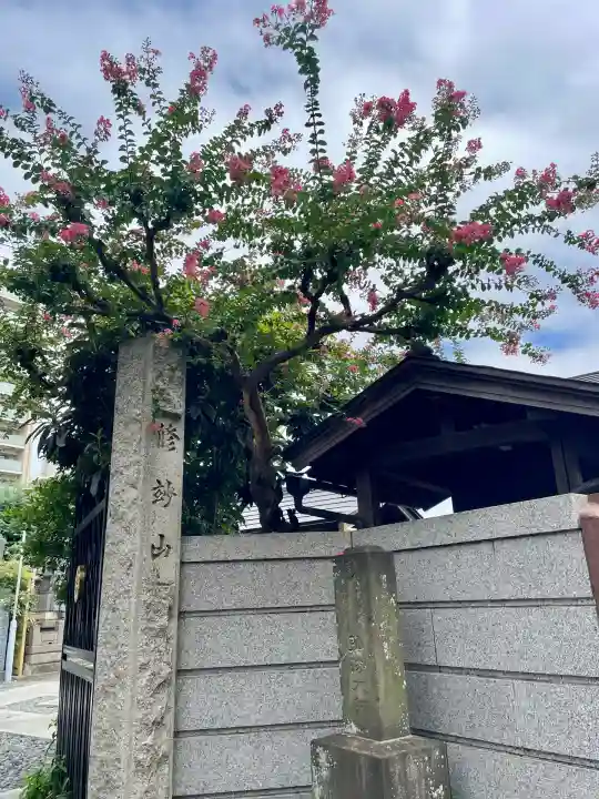 宝性寺(埼玉県)