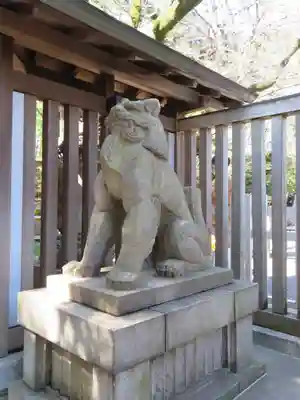 乃木神社の狛犬