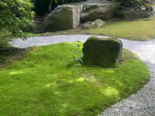 報国寺の{uncategorized: "未分類", other: "その他", undefined: "問題あり", building: "その他建物", grave: "お墓", sacred_gate: "鳥居", guardian: "狛犬", statue: "像", buddha: "仏像", history: "歴史", nature: "自然", garden: "庭園", animal: "動物", pagoda: "塔", temizu: "手水舎", mountain_gate: "山門・神門", sanctuary: "本殿・本堂", subordinate: "末社・摂社", art: "芸術", scenery: "景色", jizo: "地蔵", ema: "絵馬", goshuin: "御朱印", omikuji: "おみくじ", items: "授与品その他", amulet: "お守り", goshuincho: "御朱印帳", eats: "食事", festival: "お祭り", votive_dance: "神楽", shichigosan: "七五三参", wedding: "結婚式", experience: "体験その他", initially: "初詣", around: "周辺", anti_infection: "感染症対策"}