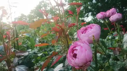 神明社（重本）の自然