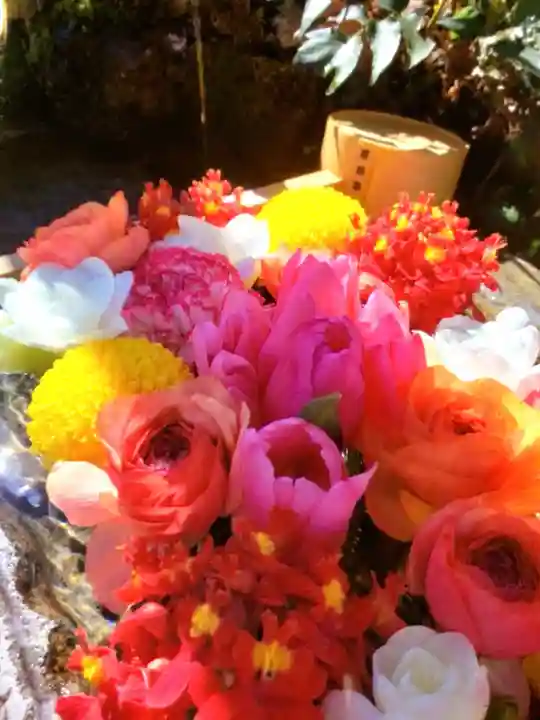 本郷氷川神社(東京都)