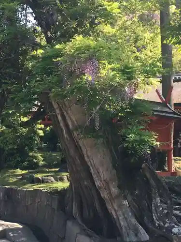 春日大社の庭園