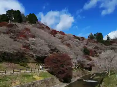 川見薬師寺の周辺