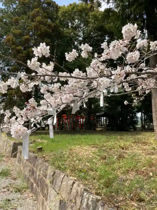 住吉神社の自然