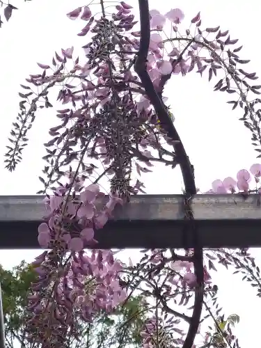 阿智神社の庭園