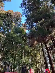大宮温泉神社(栃木県)(2023年03月05日(日) 09時22分41秒投稿)