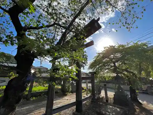 山家神社の自然
