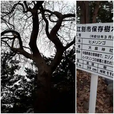 大麻神社のその他建物