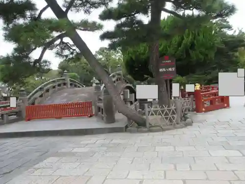 鶴岡八幡宮(神奈川県)