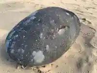 春日神社(千葉県)