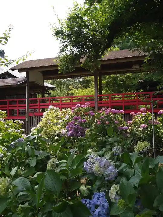 本土寺(千葉県)