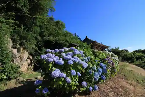 滑川不動尊の庭園